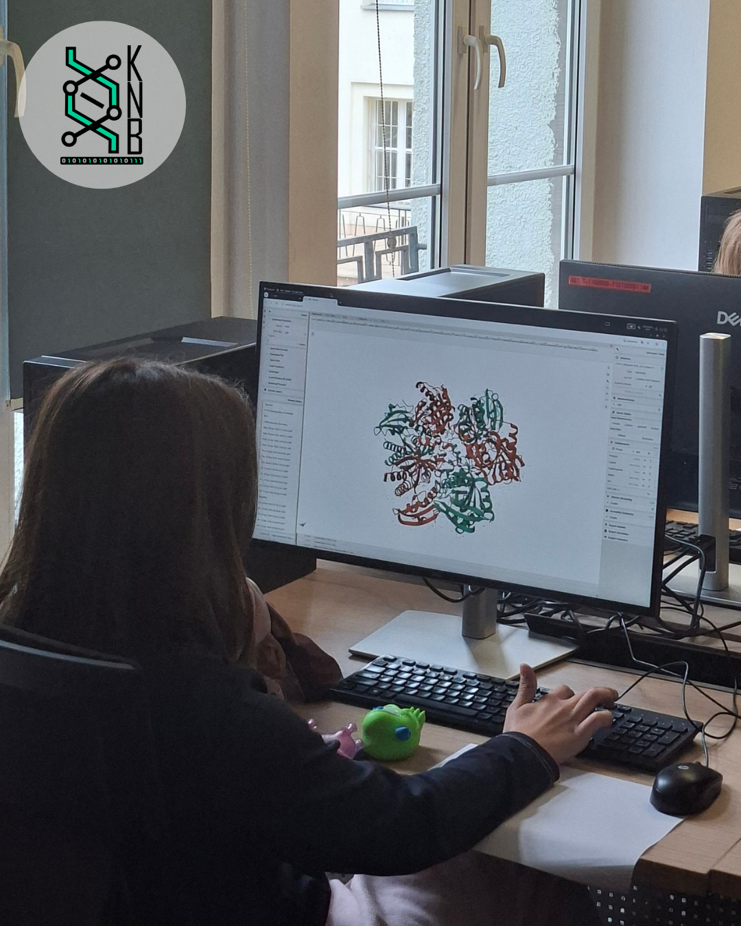 Warsztaty edukacyjne